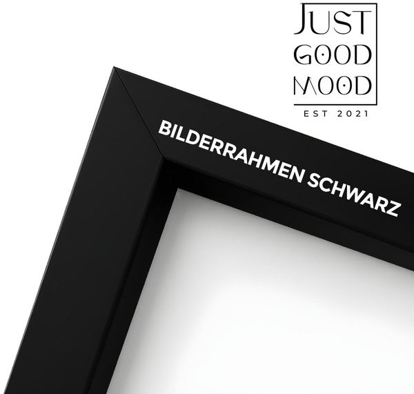 Bilderrahmen aus stabilem MDF-Holz mit Acrylglas ? Weiß Schwarz Ahorn Eiche · mit gratis Nägeln - Schwarz / 13x18 cm