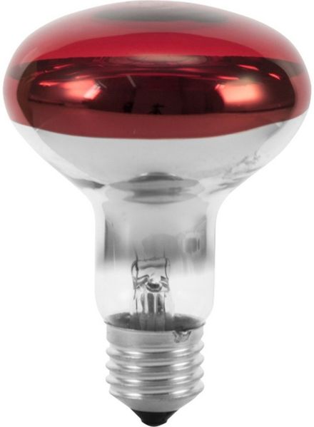 OMNILUX R80 230V/60W E-27 rot