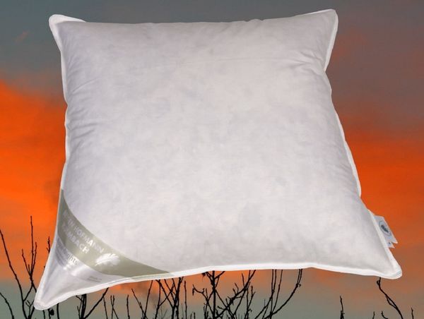 FRANCE Kissen Kopfkissen Daunenkissen 65x65 cm 100 % Daunen flauschig weich 400 g soft