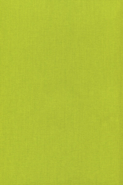 Lysel Outlet - Basisrollo Tageslicht Gelbgrün, (B x H) 82.50cm x 175cm in grün/gelbgrün Bild 2