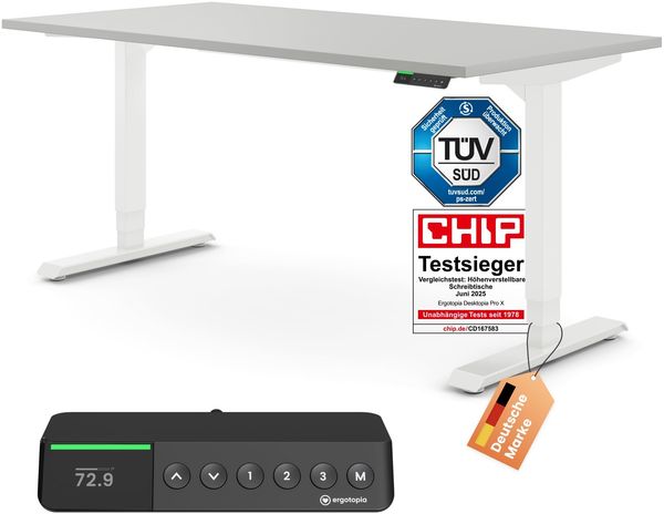 Desktopia Pro X - Elektrisch höhenverstellbarer Schreibtisch / Ergonomischer Tisch mit Memory-Funktion, Grau, Gestell Weiß, 160x80 cm
