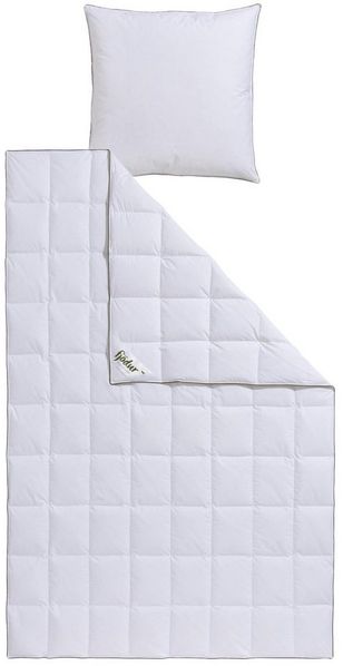 fjödur Gänsedaunenbettdecke + Kopfkissen Franzisk, Bettwaren-Set, 135x200 oder 155x220 cm, Sommer oder Winter, Füllung: 100% Gänsedaunen, Bezug: 100% Baumwolle, Wohlfühlkomfort dank Naturfüllung