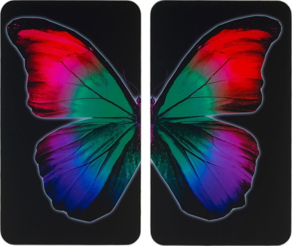 WENKO Herdabdeckplatte Universal Mod. Butterfly by Night, höhenverstellbar für alle Herdarten, Schneidebrett und Spritzschutz, Glas, 30x52 cm, 2-teilig