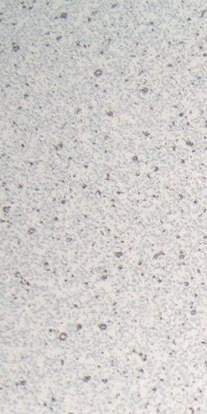 Flex-Well Kühlumbauschrank Wito (B x H x T) 60x161/162x60 cm