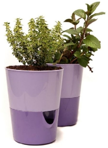 GarPet Kräutertopf Kräutertopf Küche Balkon Kräuter Blumen Topf light + dark lavendel Bild 4