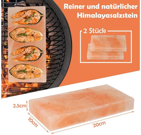 Clanmacy Grill-Salzstein 10X Mahlzeit Yakiniku Grillstein Hochwertiger Grillfliese 20x10x2,5cm (10-St)