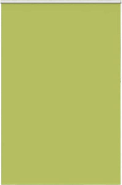vidaXL Verdunkelungsrollo Grün 145x210cm Stoffbreite 141,6cm Polyester 4011319