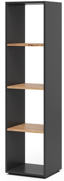 Raumteiler Ludus Anthrazit/Goldkraft Eiche 36.8 x 144.9 cm Vicco