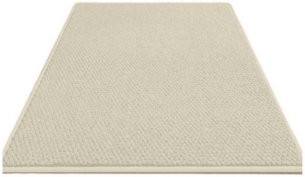 Agger Fußmatte Rutschfest Fußmatte Außen und Innen, Wasserdicht Eingangsteppich, 40*60cm, Waschbar Türmatte, Absorbierend Fussmatte für Hund, Eingang, Haustür