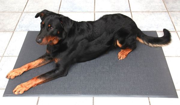 HEIM Tierdecke Heimtiermatte aus PVC, anthrazit, verschiedene Größen