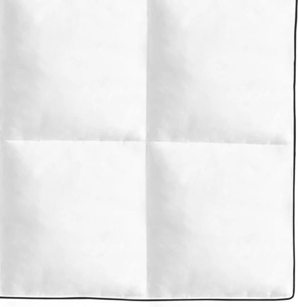 vidaXL Winter-Daunendecke 155x220 cm 132882 Bild 2