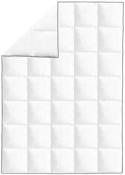 vidaXL Winter-Daunendecke 155x220 cm 132882