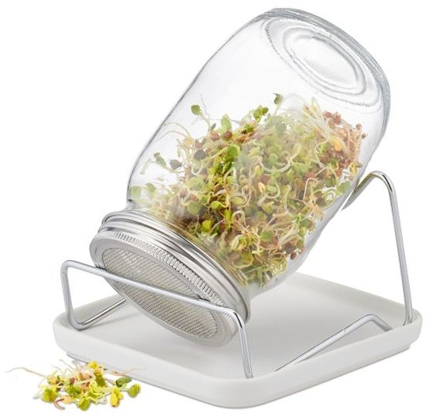 Relaxdays Sprossenglas mit Gestell und Schale