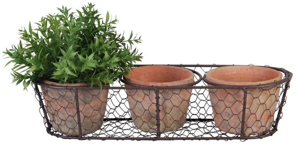 3 Aged Terracotta Blumentöpfe im Drahtkorb