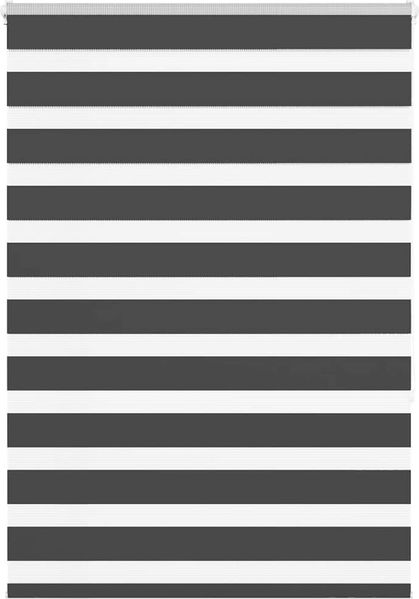 vidaXL Doppelrollo Schwarz 100x150 cm Stoffbreite 95,9 cm Polyester 4014235