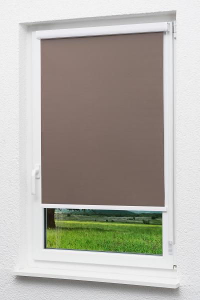 Lysel Outlet - Kassettenrollo abdunkelnd Schokobraun, (B x H) 80cm x 175cm in braun/Schokobraun