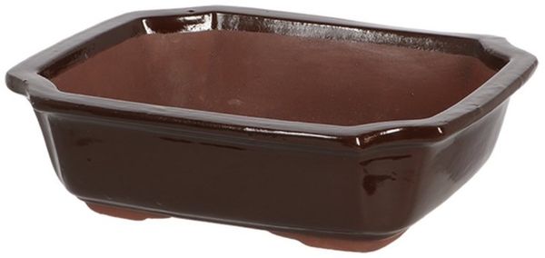esschert design Blumentopf Esschert Bonsai Schale, rechteckig Gr. M