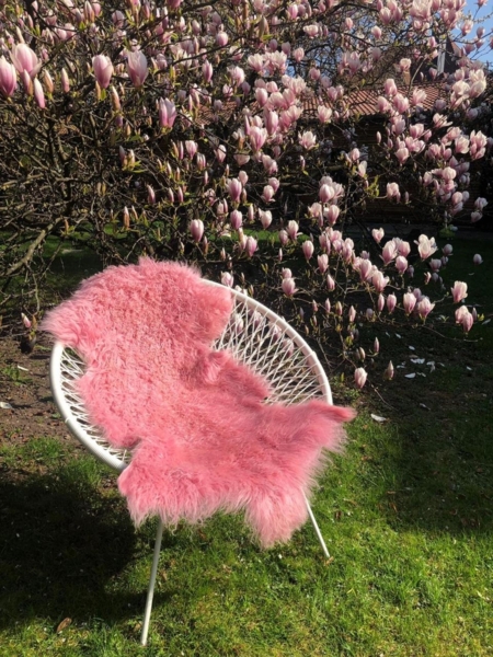 Lammfell Tibet Farbe: Pink | Größe: 100-110 Bild 6