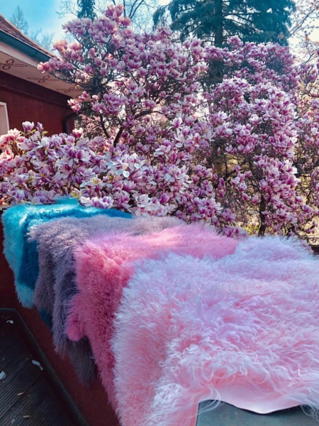 Lammfell Tibet Farbe: Pink | Größe: 100-110 Bild 8