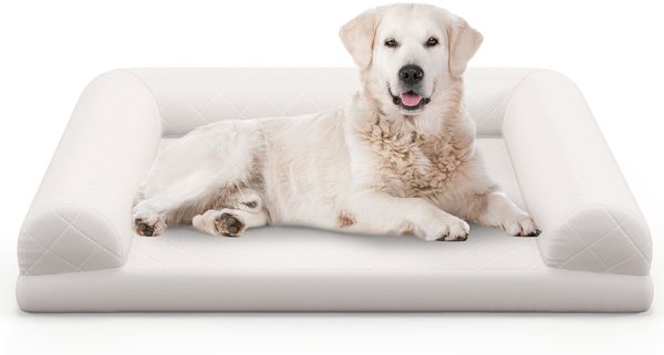 Orthopädisches Hundebett für mittelgroße Hunde Hundecouch mit eierförmiger Kistenschaum Beige
