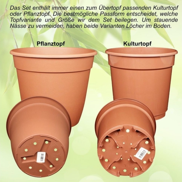 Heimwerkercenter Übertopf Set - Keramikübertopf Basel ø10 cm, moosgrün matt + Kulturtopf ø8 Bild 2