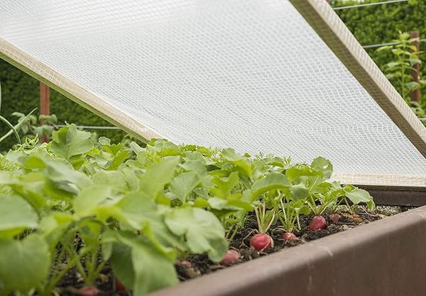 Windhager Gitterfolie Gewächshausfolie Abdeckung Gartenmöbel, Transparent, 100 g/m², 6x2 m Bild 2