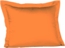 uzikQm8B68g5Lmw921VV