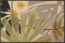 Garden Soul Bild 6