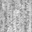 uzikQm8B68g5Lmw921VV