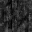 uzikQm8B68g5Lmw921VV