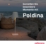 Zafferano Poldina Pro Dimmbare LED-Tischlampe aus Aluminium braun Bild 8