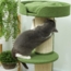 PawHut Kratzbaum mit Sisalstämme, Plattform, Kissen, für mittelgroße Katzen unter 5 kg, Grün Bild 8