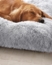 Feandrea Hundebett, Hundekissen, Flauschige Hundematte, Langer Plüsch, 140x100 cm, weiche Polsterung, waschbar, multifunktional, Ombré-Grau PGW205G01 Bild 3
