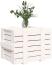 vidaXL Truhe Weiß 58x40,5x42 cm Massivholz Kiefer 824994 Bild 8