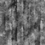 uzikQm8B68g5Lmw921VV