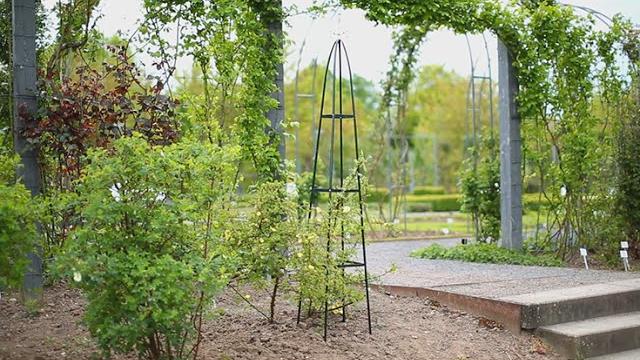 Relaxdays Garten Rankturm Metall ca. 190 cm spitz Bild 2
