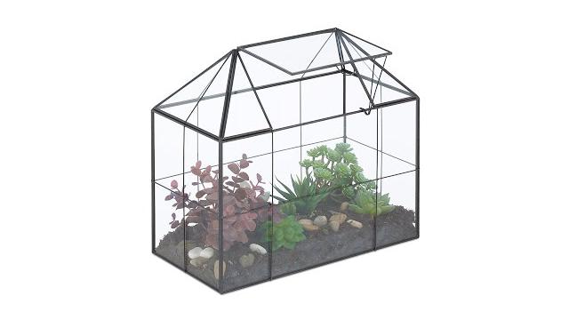 Relaxdays Großes Pflanzenterrarium Glas Hausform Bild 2