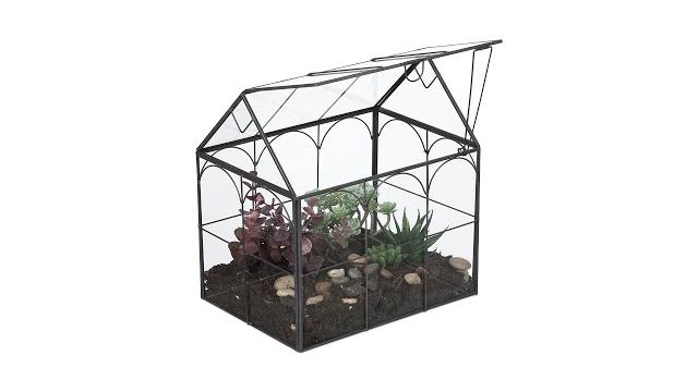 Relaxdays Pflanzenterrarium Glas Hausform Bild 2