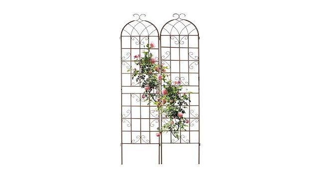 Relaxdays Rankgitter Metall 2er Set Bild 2