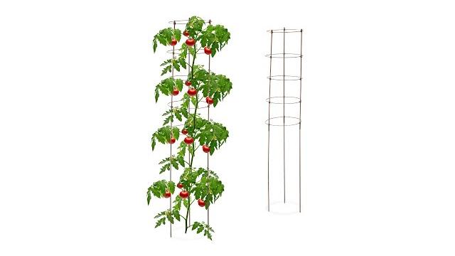 Relaxdays Rankhilfe 150 cm 2er Set braun Bild 2