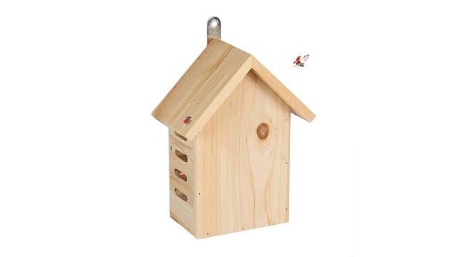 Relaxdays Marienkäferhaus aus Holz Bild 2